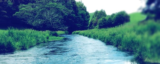 Clean Water Act Clarity: Will the Supreme Court Grant Cert in Port of Tacoma v. Puget Soundkeeper Alliance?