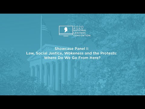 Showcase Panel I: Law, Social Justice, Wokeness and the Protests: Where Do We Go From Here?