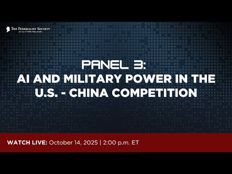 Panel III: AI and Military Power in U.S.-China Competition