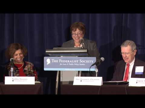 Showcase Panel IV: ROUNDTABLE: Areas of Constitutional Doctrine Transformed