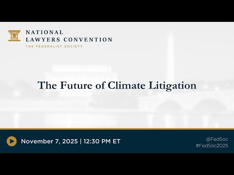 The Future of Climate Litigation