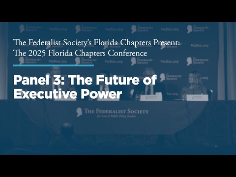 Panel 3: The Future of Executive Power	