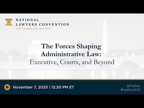 The Forces Shaping Administrative Law: Executive, Courts, and Beyond
