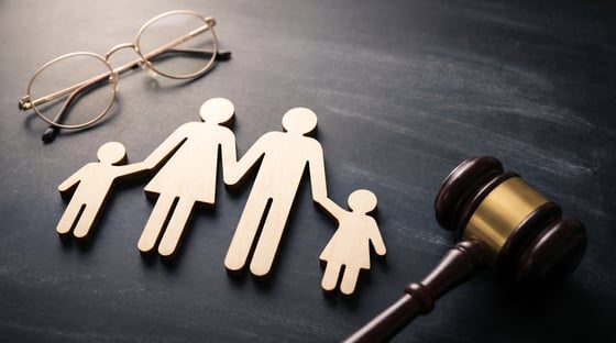 verified-findings-in-suspected-abuse-cases