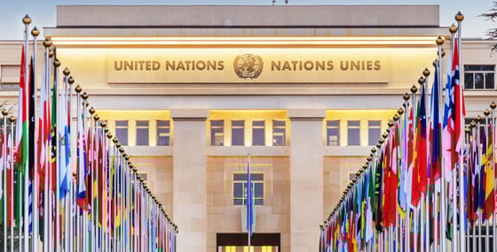 Reform or Withdraw? The United States and the Future of the United Nations