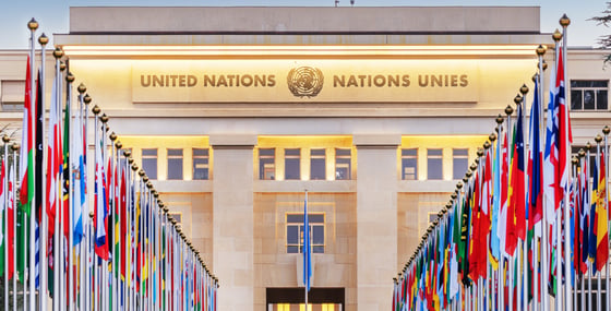 Reform or Withdraw? The United States and the Future of the United Nations