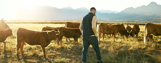 Antitrust Law Down on the Farm: Farmers, Food Inflation, and a Fair Deal