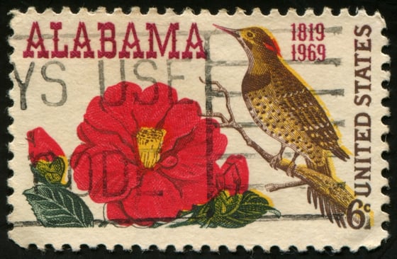Panel I: Developments on DEI Policy in Alabama 