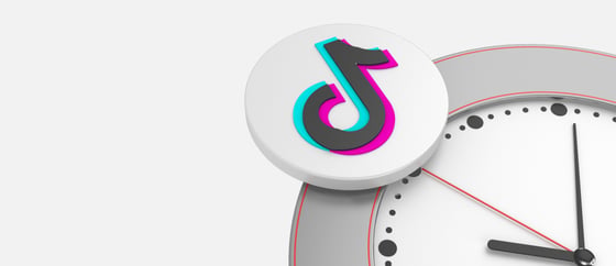 Courthouse Steps Decision: TikTok, Inc. v. Garland
