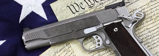 The Right to Bear Arms 