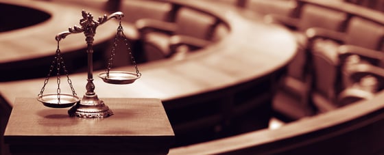 Courthouse Steps Decision: McElrath v. Georgia