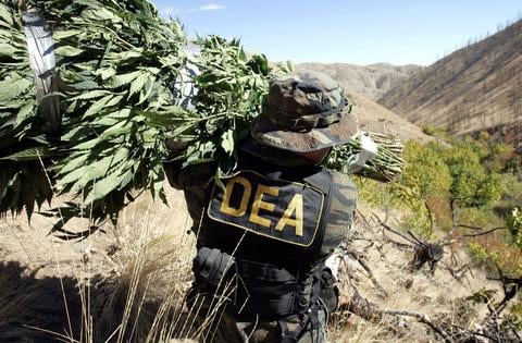 Perspectives on Marijuana
