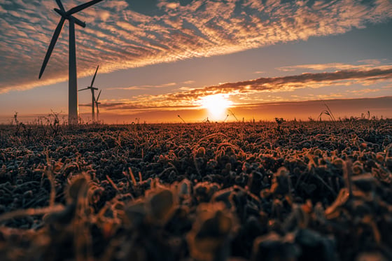 Is the Federal Judicial Center Putting a Thumb on the Scale for A Climate Agenda?