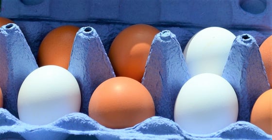 Food Safety:  When Regulatory Jurisdictional Battles and Public Safety Collide
