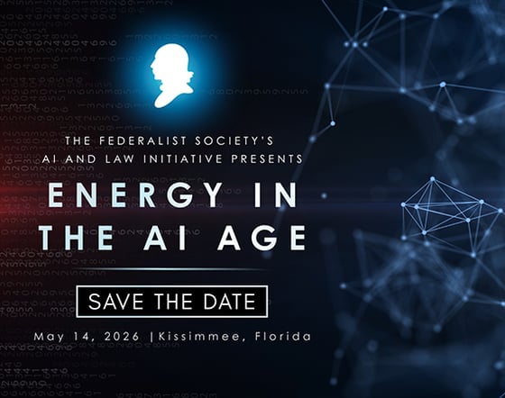 Energy in the AI Age