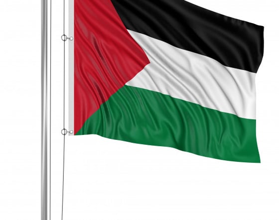Sokolow, et al v. Palestinian Liberation Organization Litigation Update