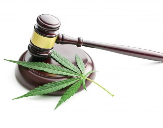 Justice Department and Marijuana Enforcement