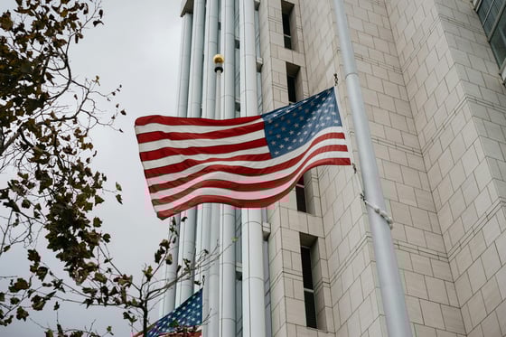 Department of Government Efficiency: Opportunities and Challenges  (Part II)