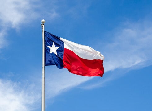 Courthouse Steps Decision: Gonzalez v. Trevino