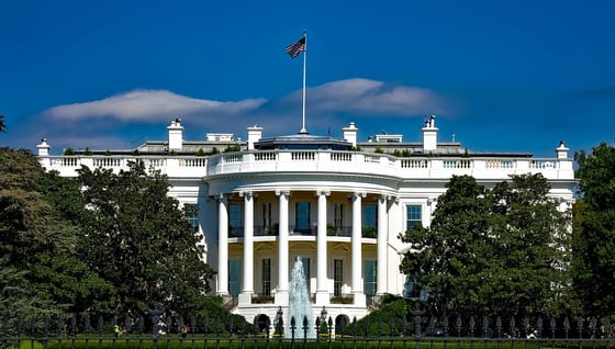 Talks with Authors: What Are the Extent and Limits of Executive Power?