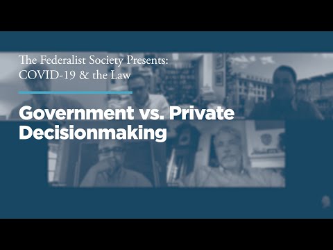 Government vs. Private Decisionmaking