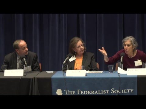 Panel IV: Education Reform and Equality of Opportunity