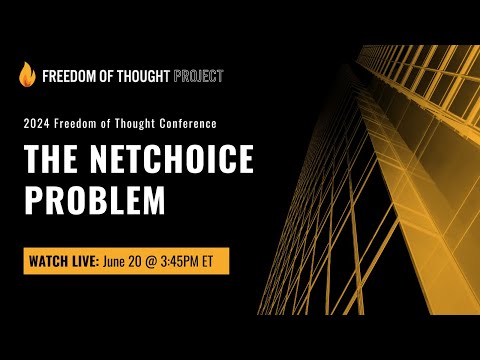Panel 4: The NetChoice Problem