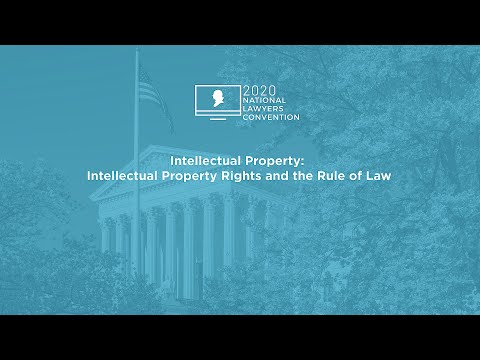 Intellectual Property: Intellectual Property Rights and the Rule of Law