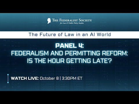 Panel IV: Is the Hour Getting Late? Will Federalism Guide AI and Meet the Demands of Global Opportunities and Threats?