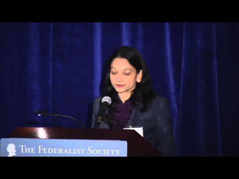 Intellectual Property: The Role of Congress and Executive Agencies in 21st Century IP Regimes