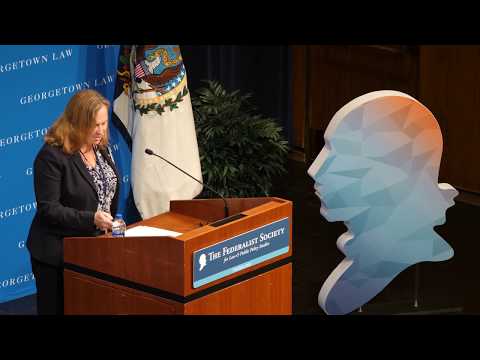 Perfecting the Constitution - a Roundtable: Visions for the 28th Amendment