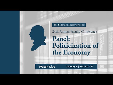 Panel: Politicization of the Economy