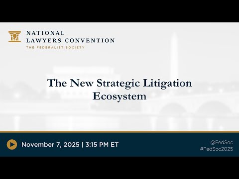 The New Strategic Litigation Ecosystem