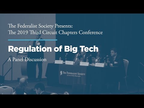 Panel Two: Regulation of Big Tech