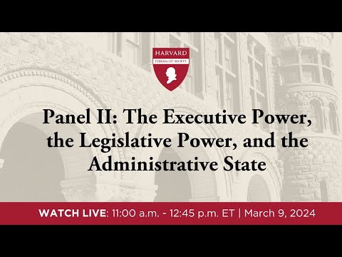 Panel II: The Executive Power, the Legislative Power, and the Administrative State