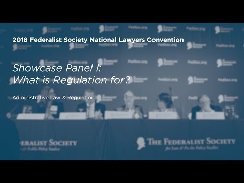Showcase Panel I: What is Regulation For?