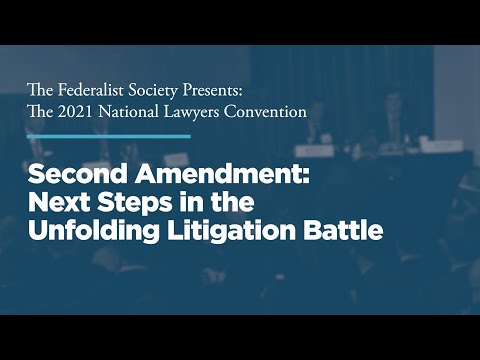 Second Amendment: Next Steps in the Unfolding Litigation Battle