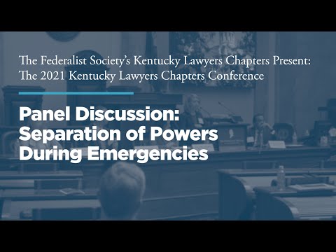 Panel 2: Separation of Powers During Emergencies