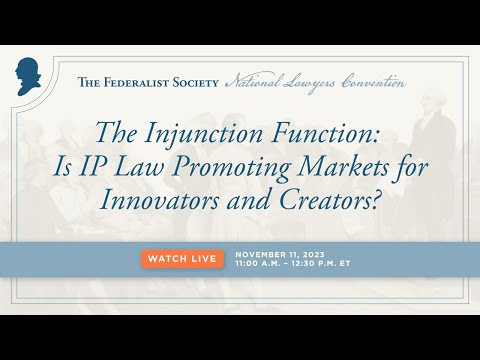 The Injunction Function: Is IP Law Promoting Markets for Innovators and Creators?