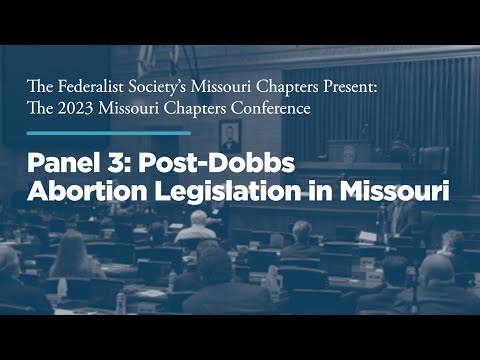 Panel 3: Post-Dobbs Abortion Legislation in Missouri