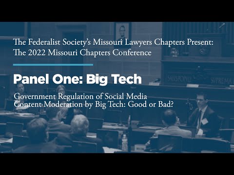 Panel One: Big Tech: Government Regulation of Social Media Content Moderation by Big Tech: Good or Bad?
