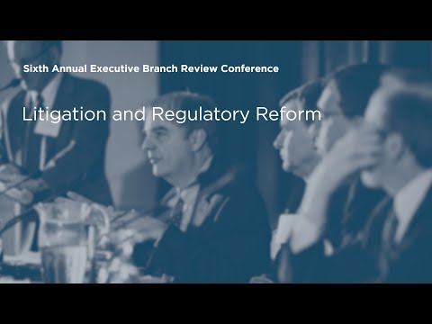 Litigation and Regulatory Reform