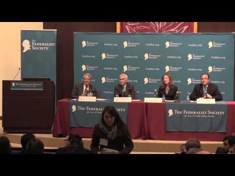Panel III: Innovation and Health Care