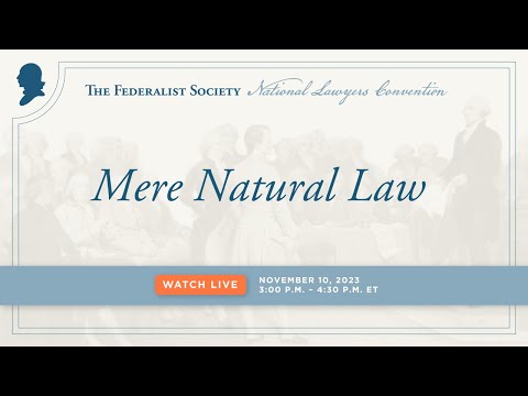 Mere Natural Law