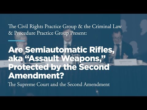 Panel 2: Are Semiautomatic Rifles, aka “Assault Weapons,” Protected by the Second Amendment?
