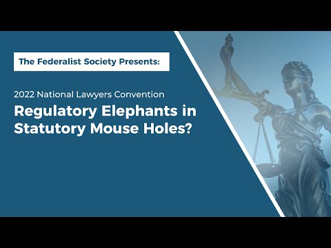 Regulatory Elephants in Statutory Mouse Holes?