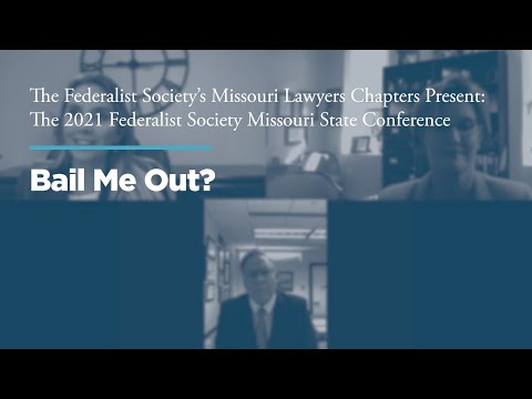 Panel III: Bail Me Out?