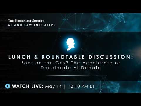 Lunch & Roundtable: Foot on the Gas? The Accelerate or Decelerate AI Debate