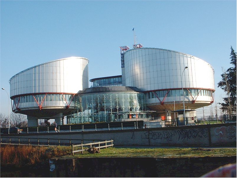 The European Court of Human Rights - A European Constitutional Court?