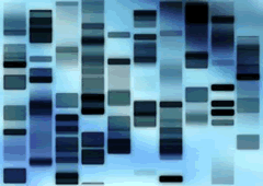 Patenting Human DNA: The Court's Decision - Podcast